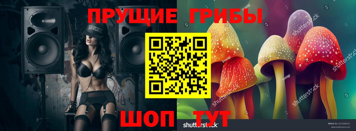 Псилоцибиновые грибы Psilocybe Большой Камень