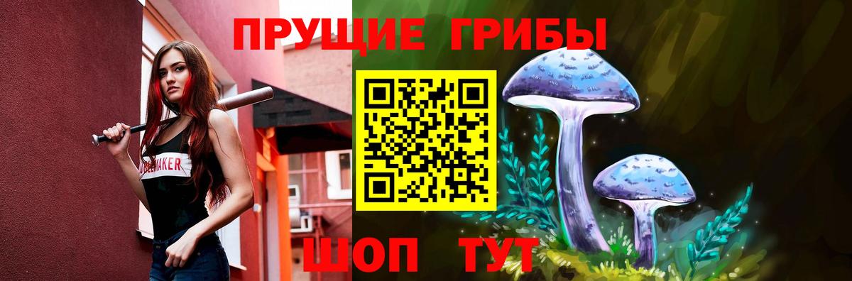 где продают   Вход с VPN  Большой Камень  Псилоцибиновые грибы Magic Shrooms  Галлюциногенные грибы Magic Shrooms 